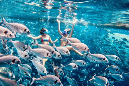 Dolphins & Fish Farm Cruise with a Marine Biologist